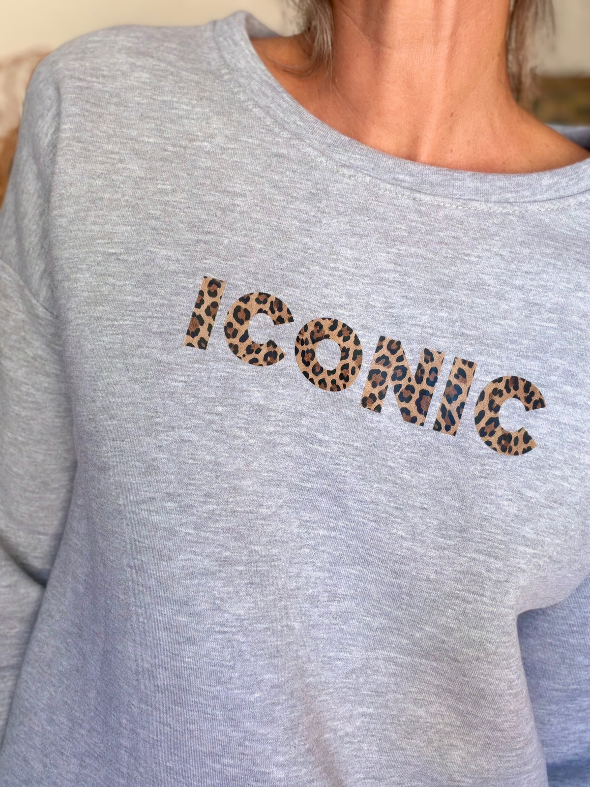 Sweat ICONIC Léo molleton ISALINE - Gris